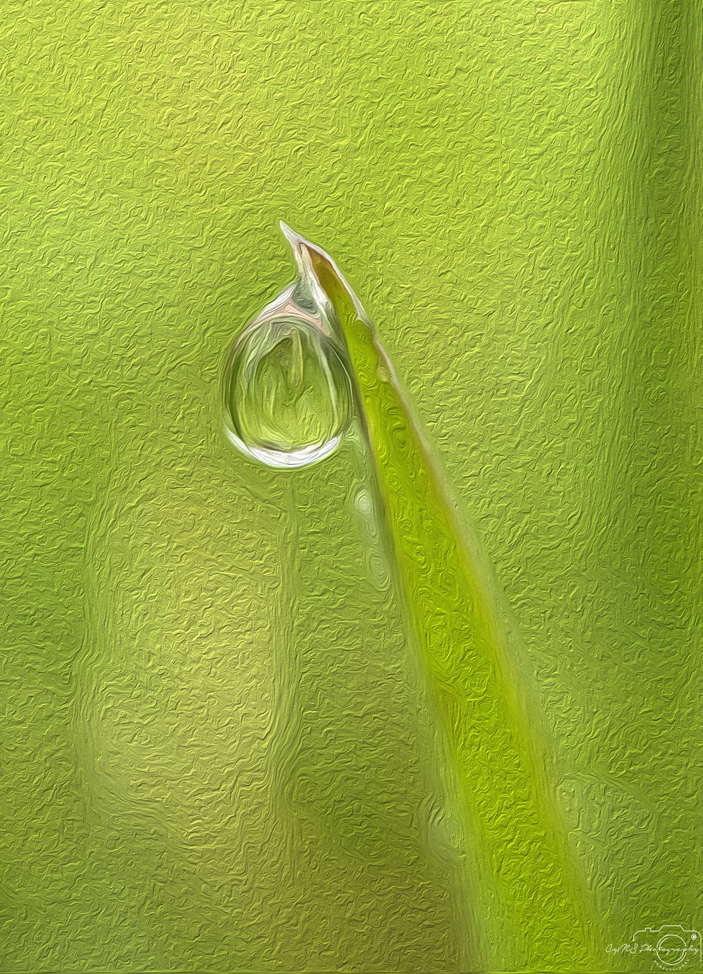 Beautiful water drop_V584_oil painting