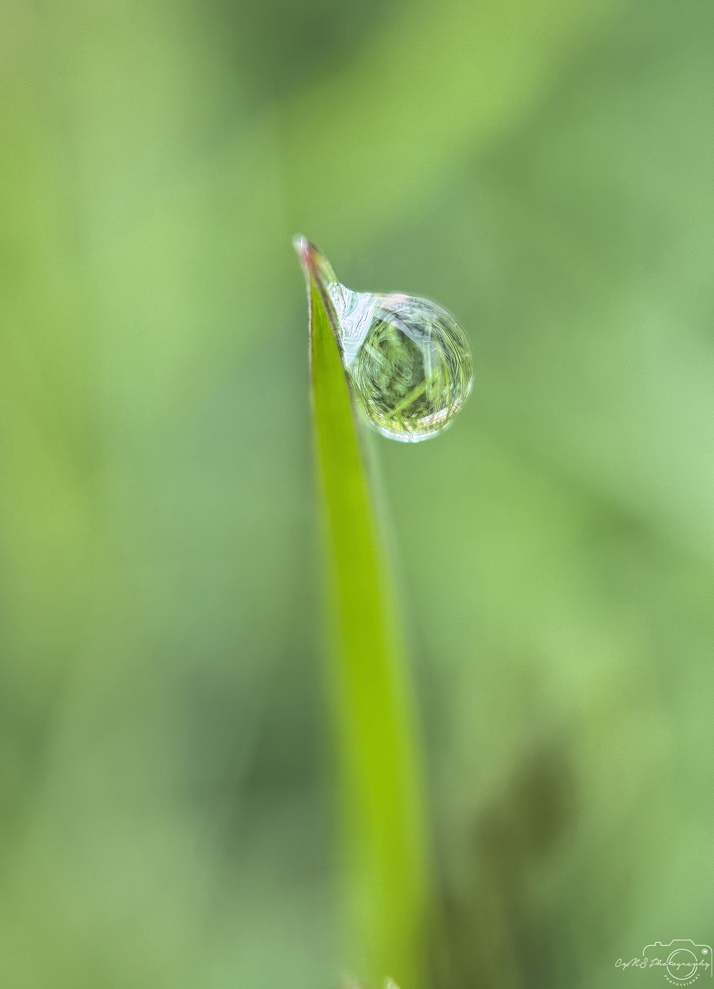 Photographie de la nature - Superbe gouttelette V585