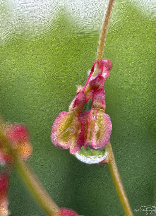 Digital Oil Painting - Superb Droplet V593