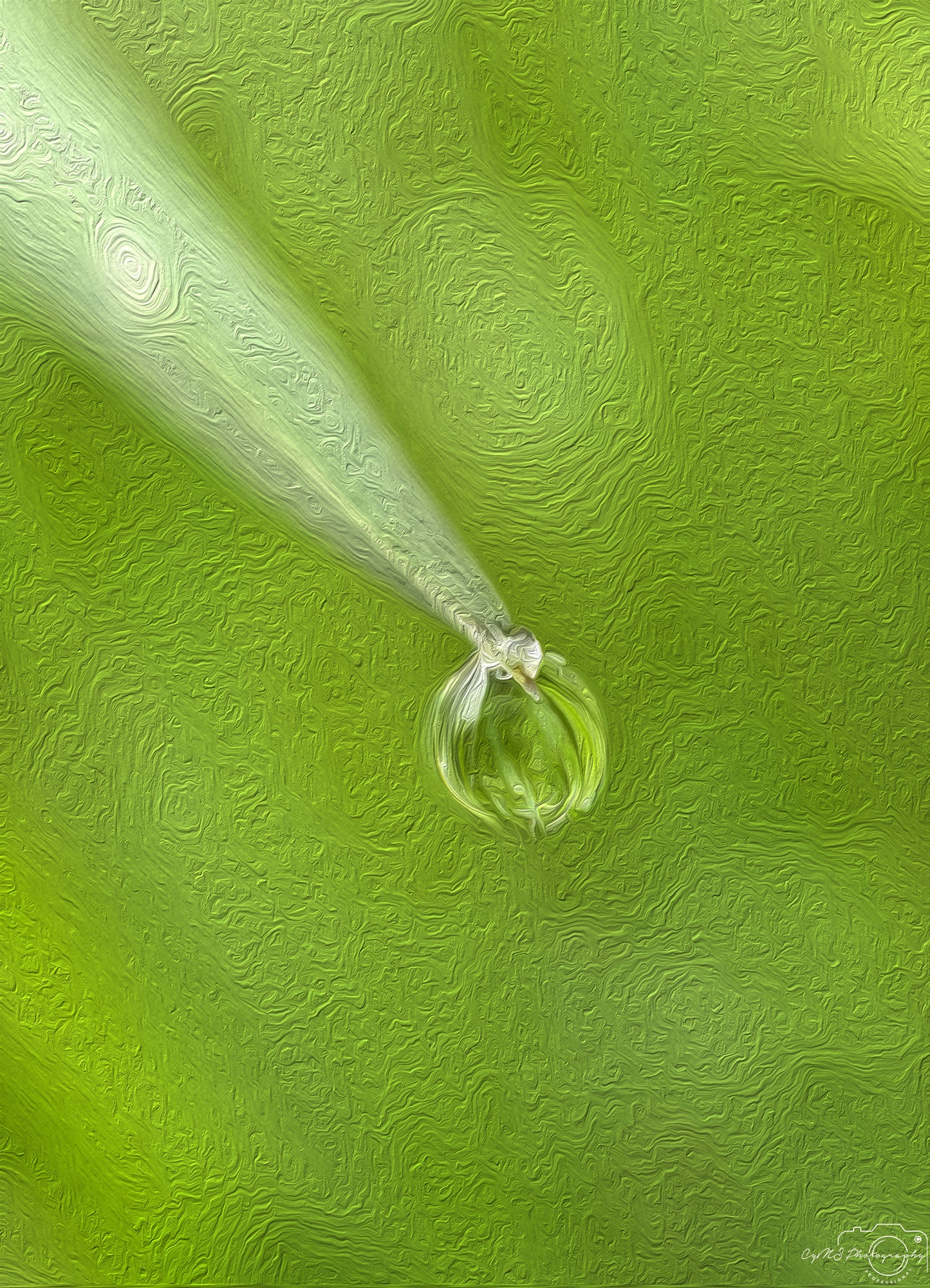 Digital Oil Painting - Superb Droplet V606