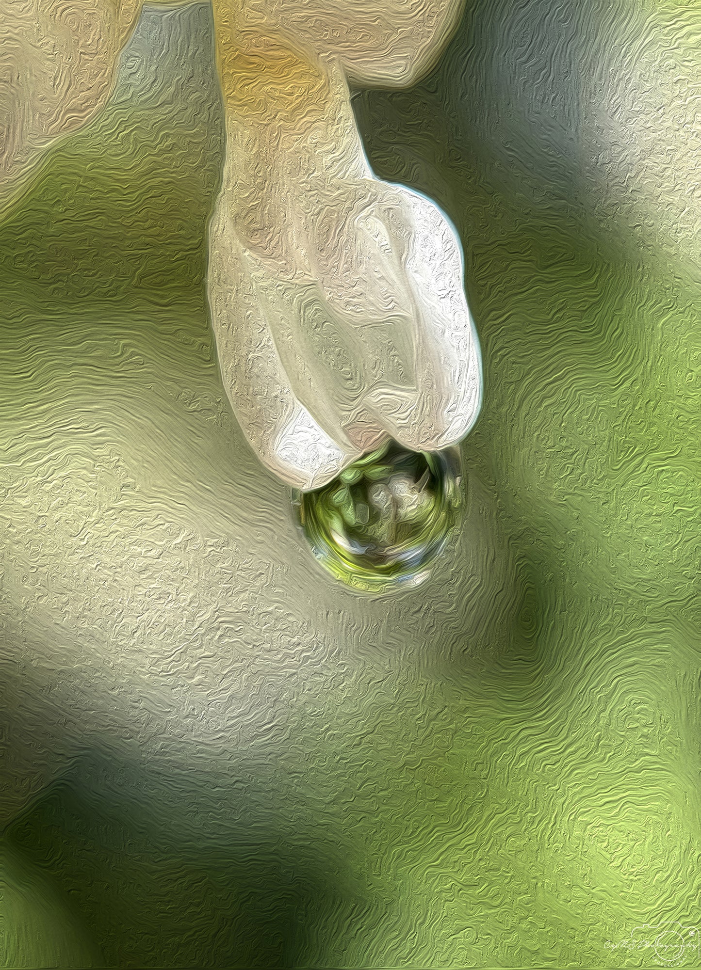 Digital Oil Painting - Superb Droplet V609