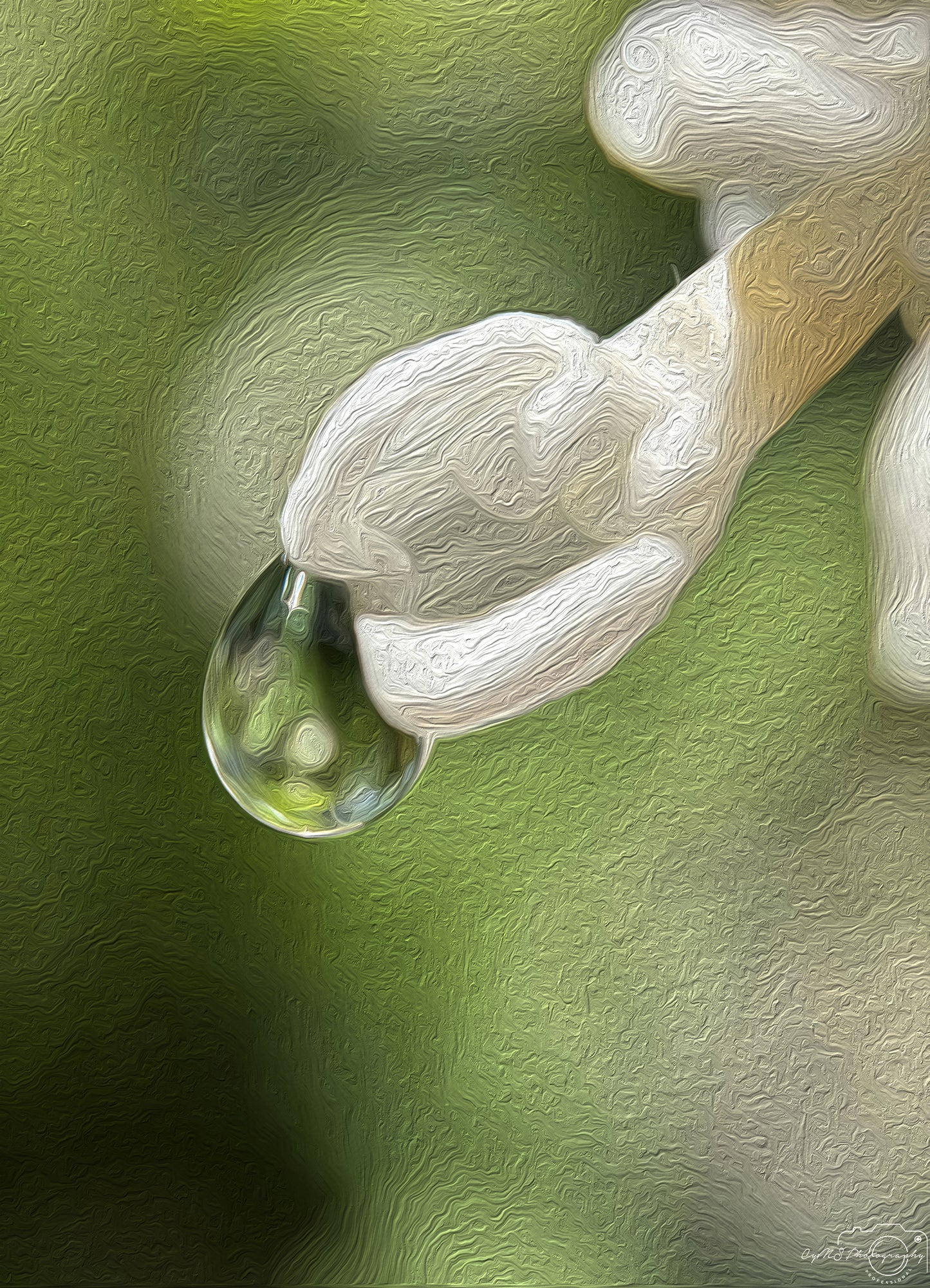 Beautiful water drop_V611_oil painting