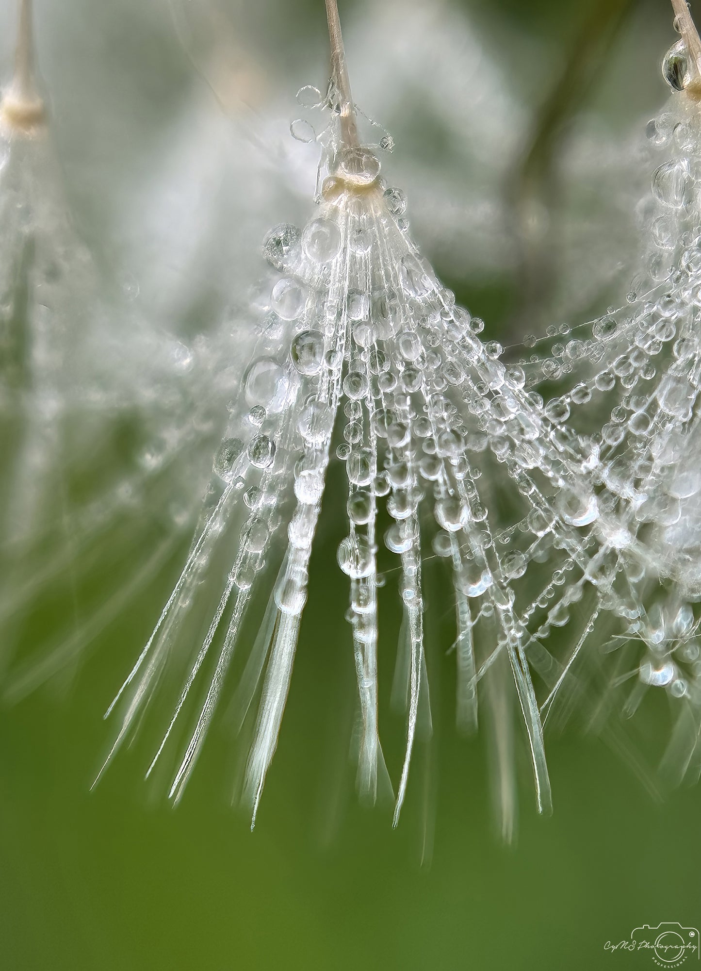 Beautiful water drop_V615
