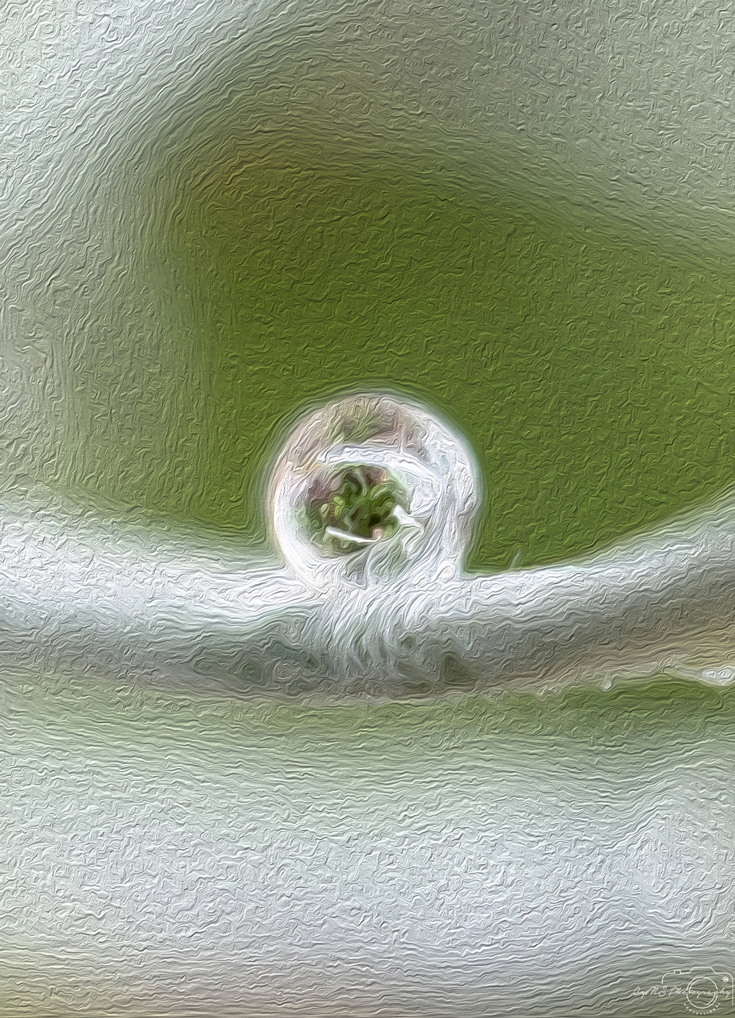 Digital Oil Painting - Superb Droplet V618
