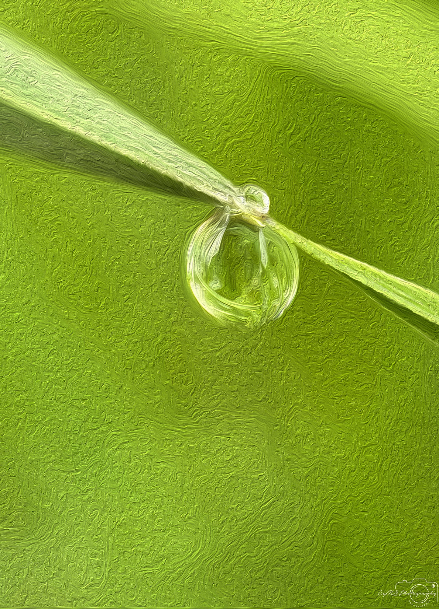 Beautiful water drop_V626_oil painting