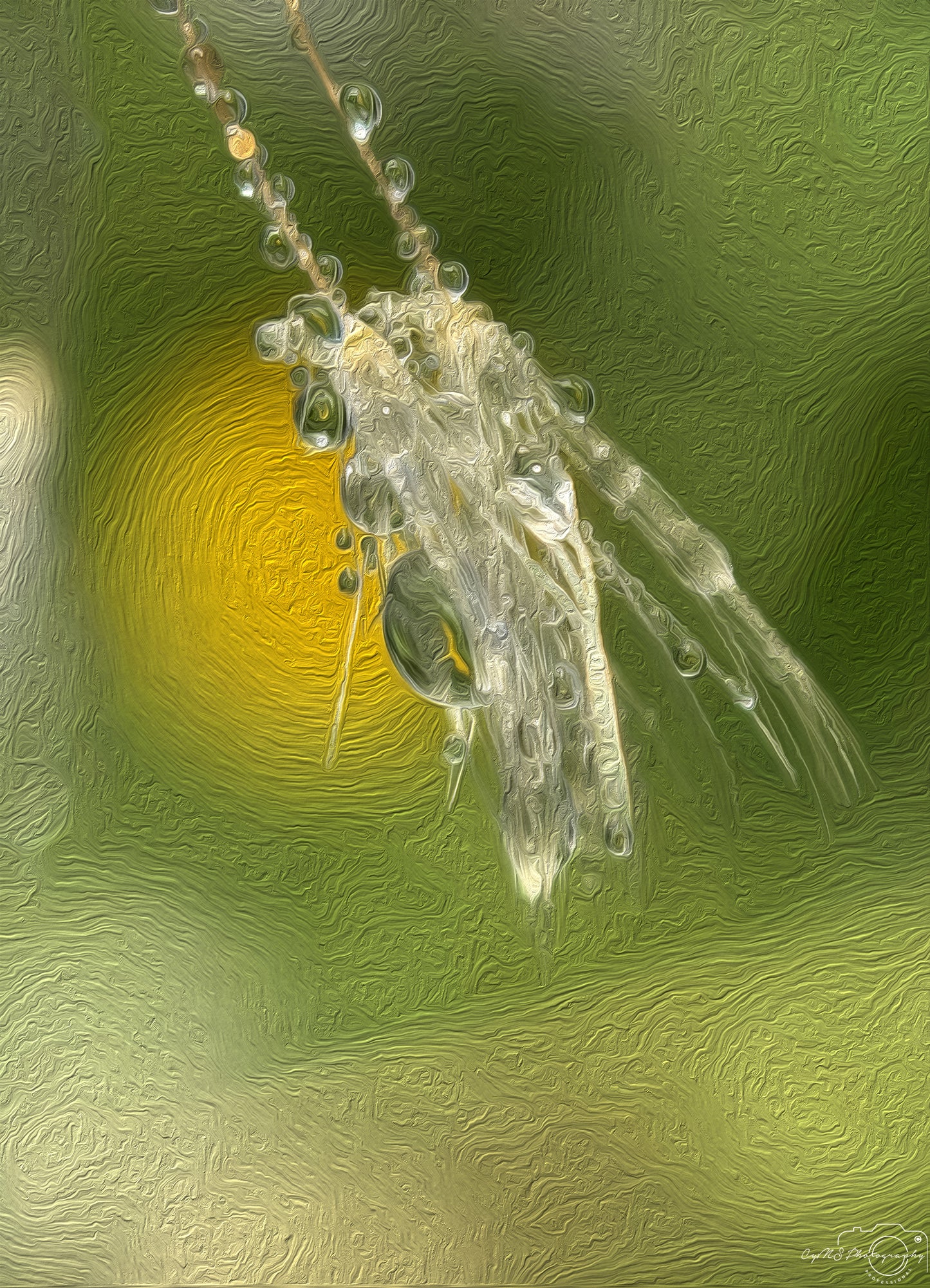 Digital Oil Painting - Superb Droplet V630