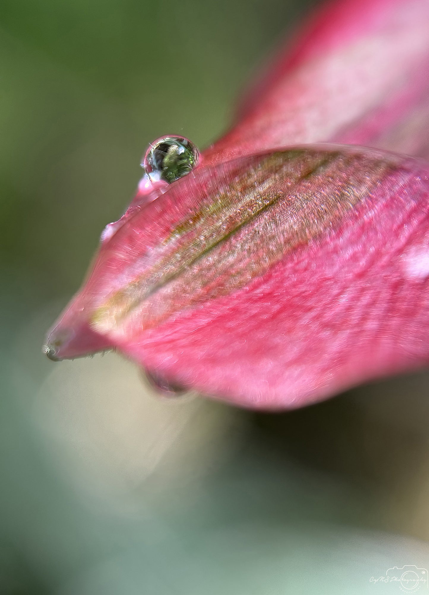 Photographie de la nature - Superbe Droplet V700