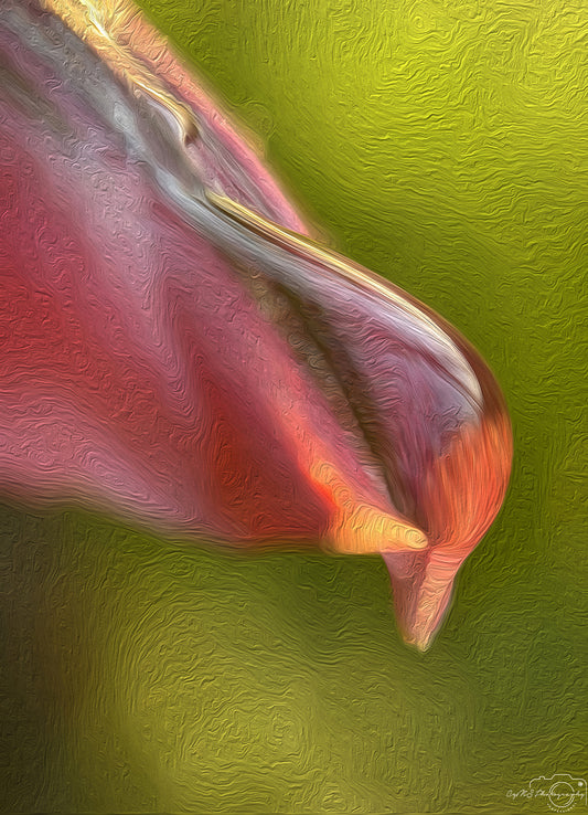 Digital Oil Painting - Superb Droplet V702