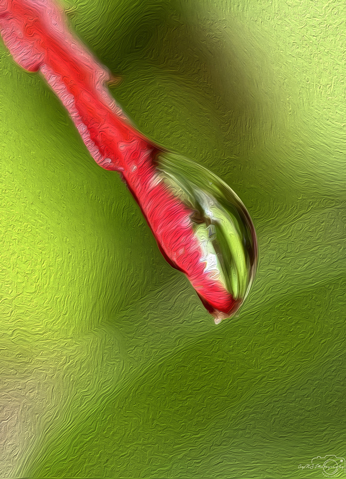 Digital Oil Painting - Superb Droplet V713