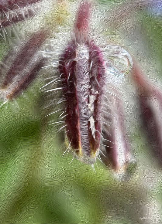 Digital Oil Painting - Superb Droplet V722