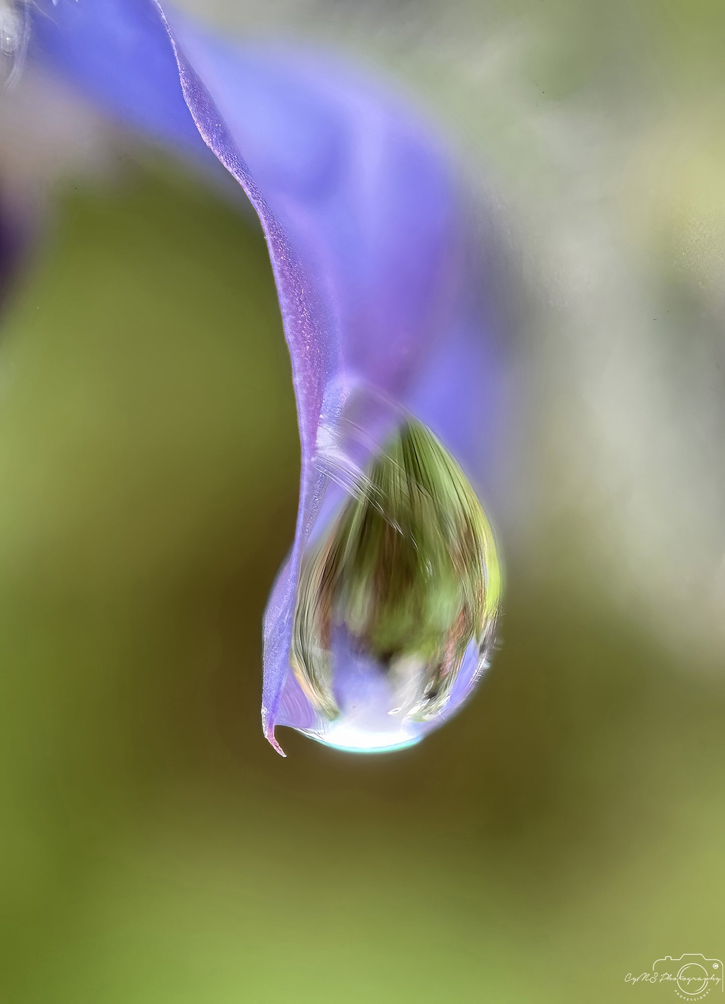 Photographie de la nature - Superbe gouttelette V732