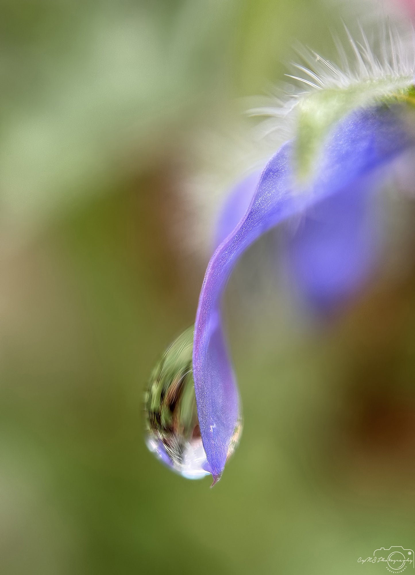 Photographie de la nature - Superbe gouttelette V733