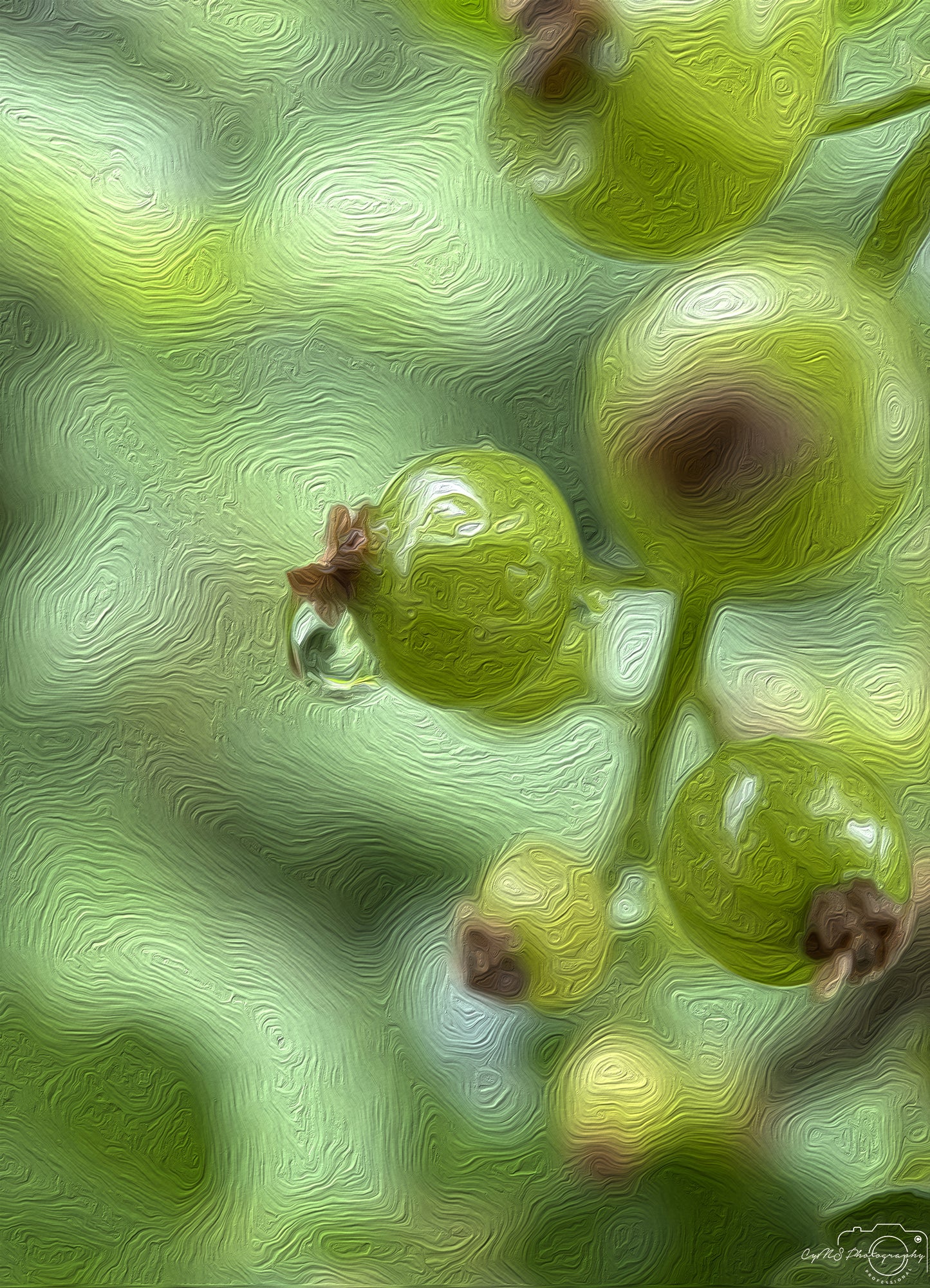 Beautiful water drop_V740_oil painting