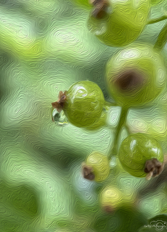 Digital Oil Painting - Superb Droplet V740