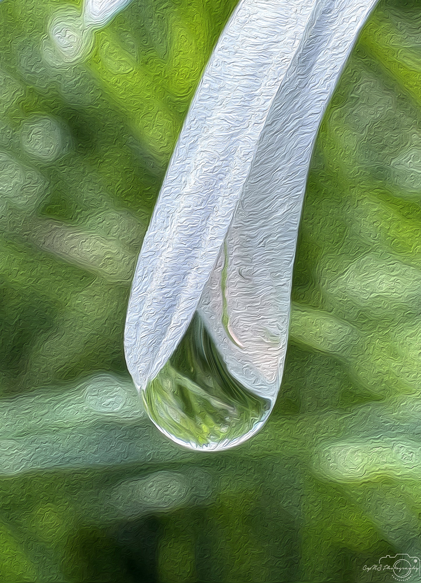 Digital Oil Painting - Superb Droplet V771
