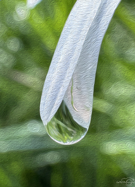 Digital Oil Painting - Superb Droplet V771