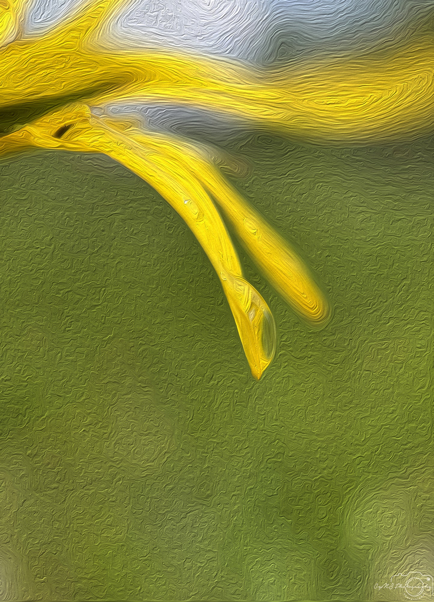 Digital Oil Painting - Superb Droplet V778