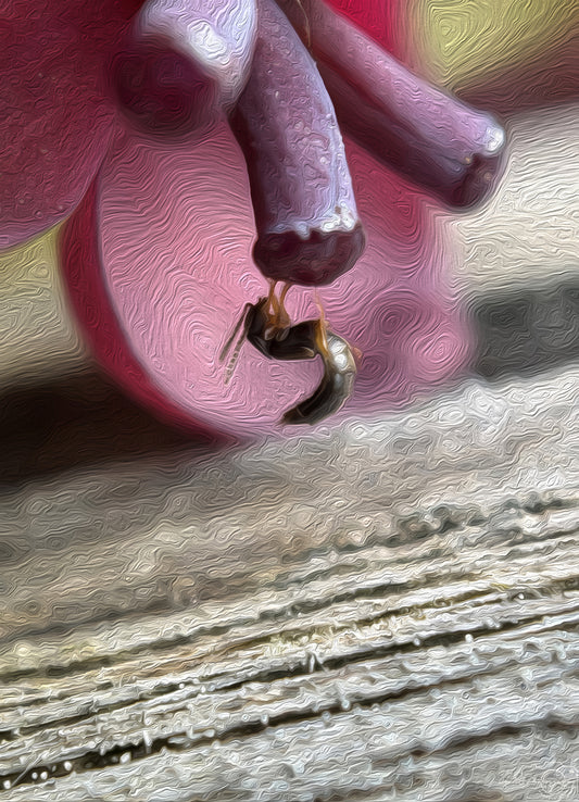 Amazing bugs_000_oil painting