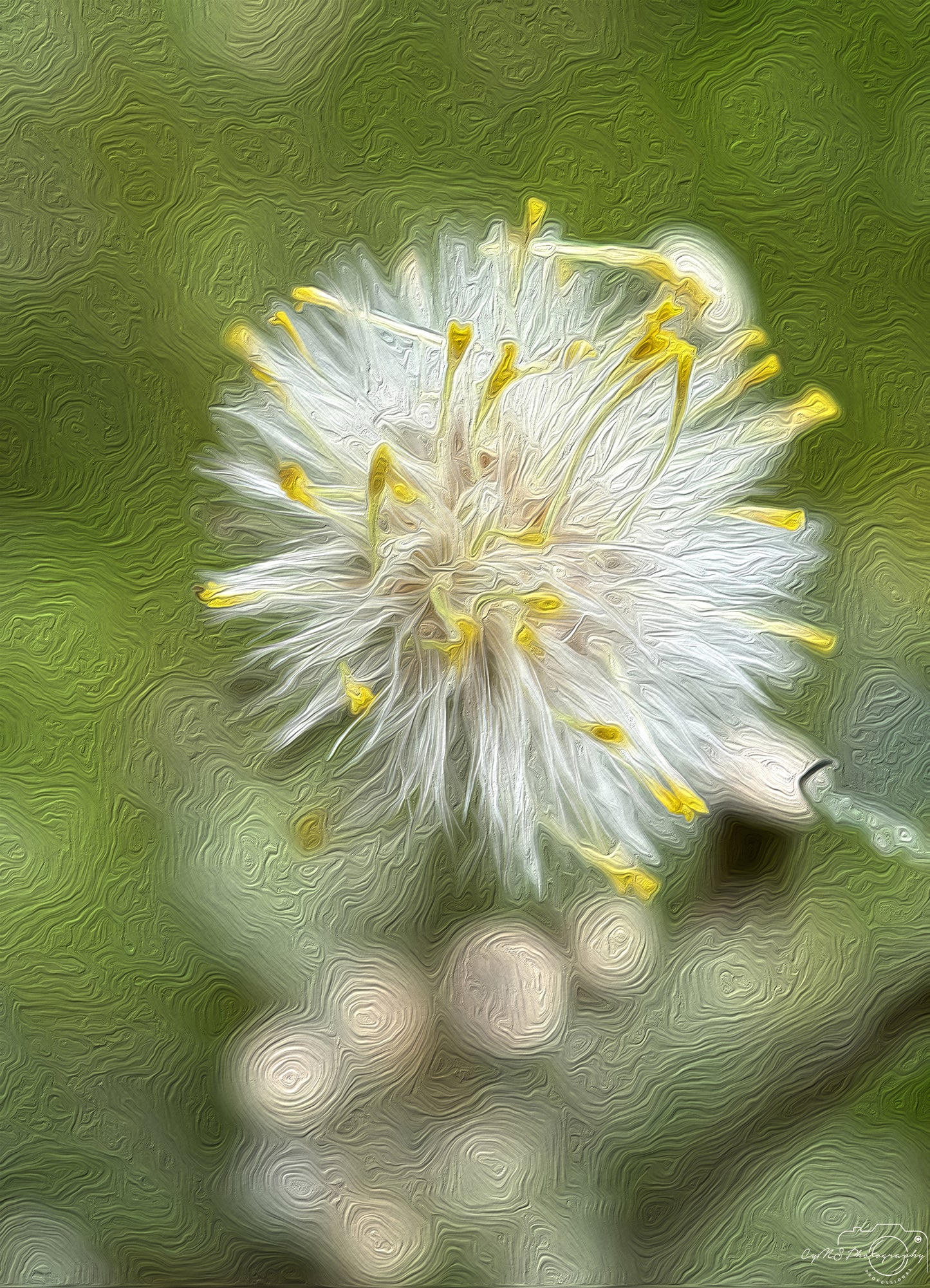 Flower_222_oil painting