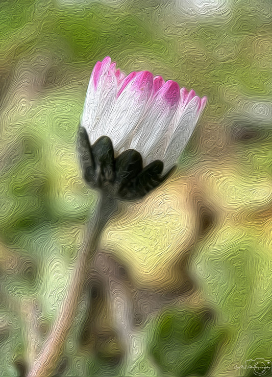 Digital Oil Painting - Superb Flower V226