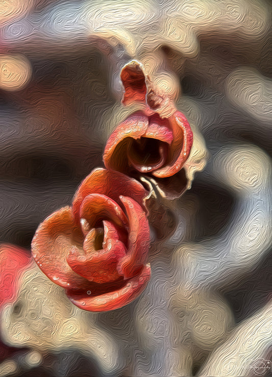Digital Oil Painting - Superb Flower V228