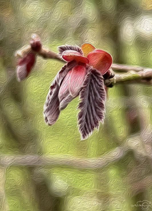 Digital Oil Painting - Superb Flower V236