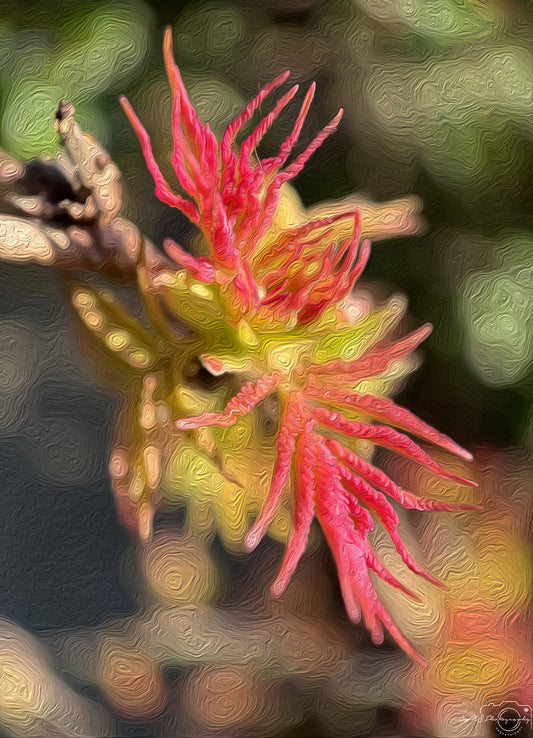 Digital Oil Painting - Superb Flower V245