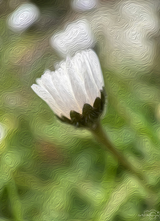 Digital Oil Painting - Superb Flower V247