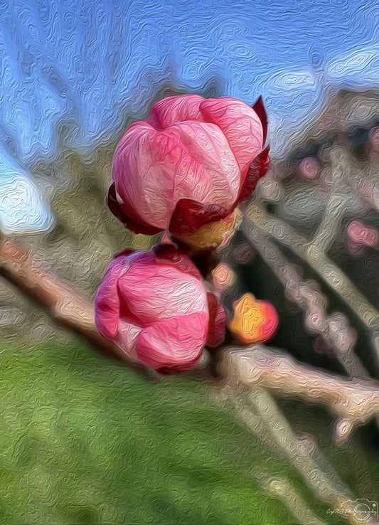 Digital Oil Painting - Superb Flower V249