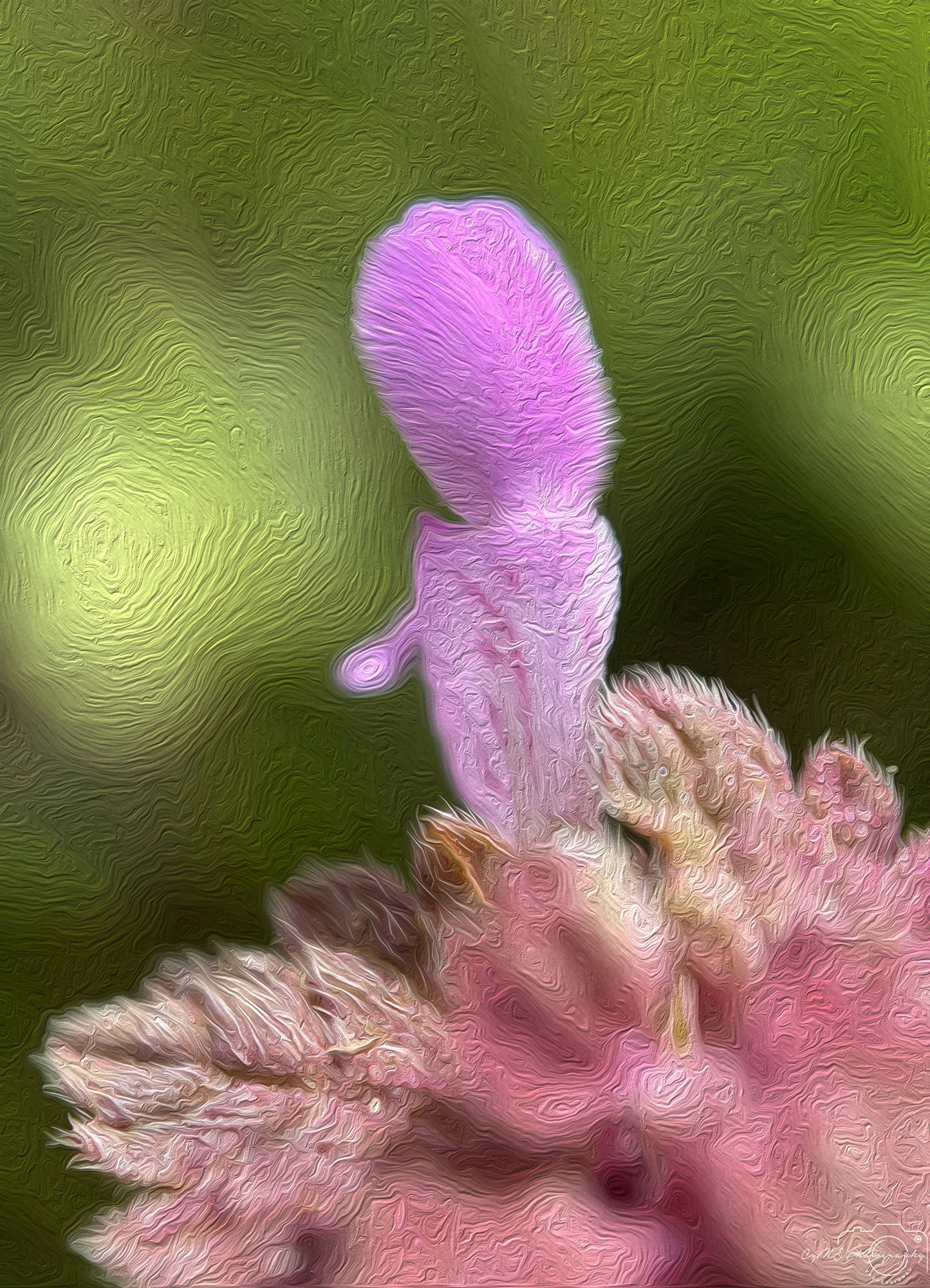 Flower_252_oil painting