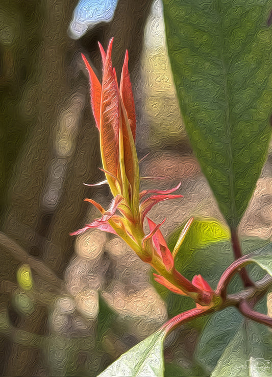 Digital Oil Painting - Superb Flower V253