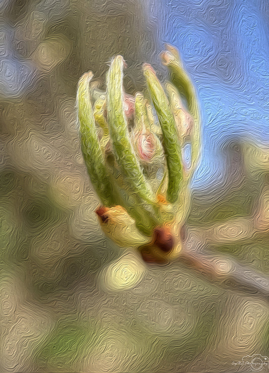 Digital Oil Painting - Superb Flower V254