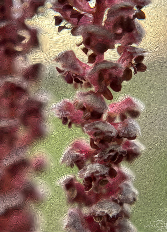 Digital Oil Painting - Superb Flower V263