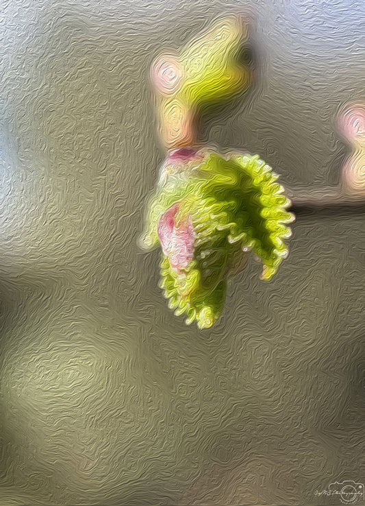 Digital Oil Painting - Superb Flower V271