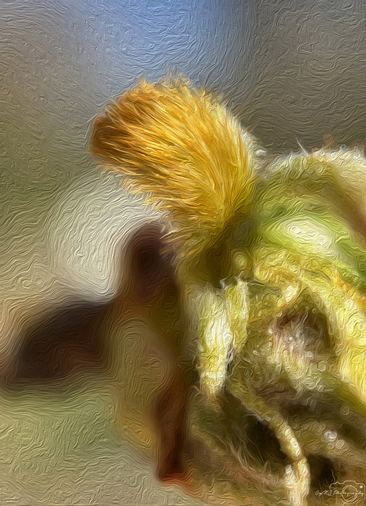 Digital Oil Painting - Superb Flower V276
