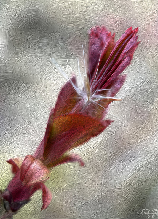 Digital Oil Painting - Superb Flower V279