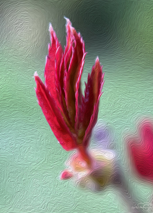 Digital Oil Painting - Superb Flower V281