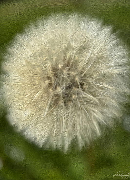 Digital Oil Painting - Superb Flower V283