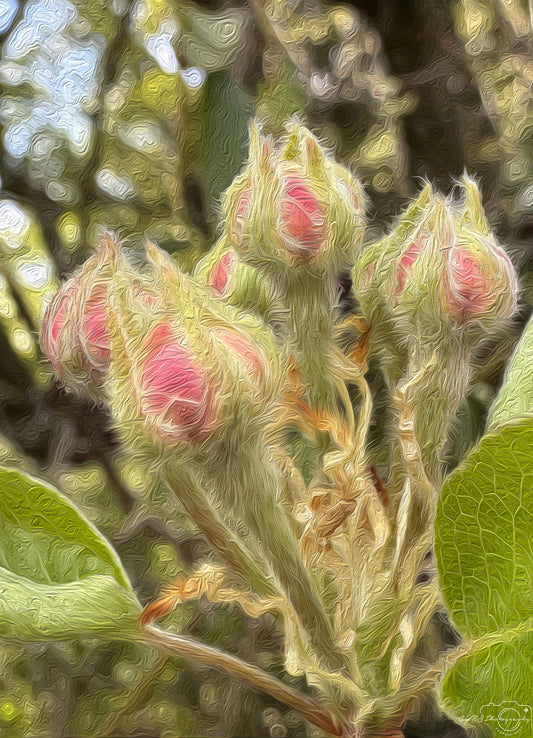 Digital Oil Painting - Superb Flower V284