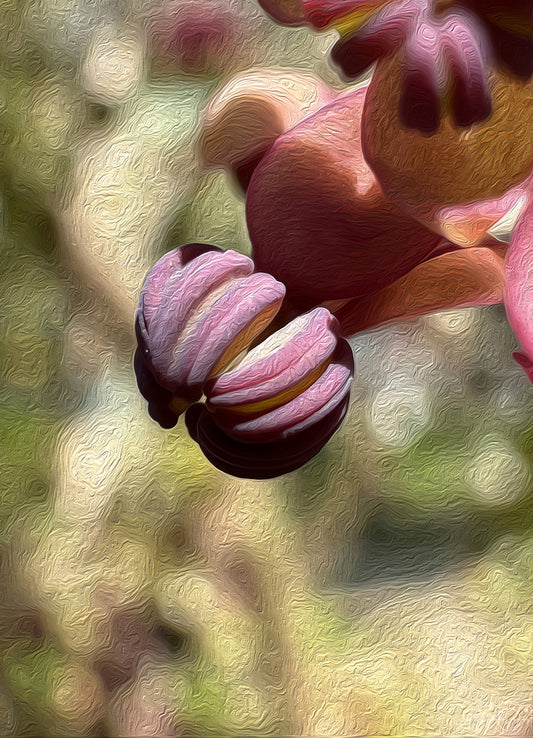 Digital Oil Painting - Superb Flower V285