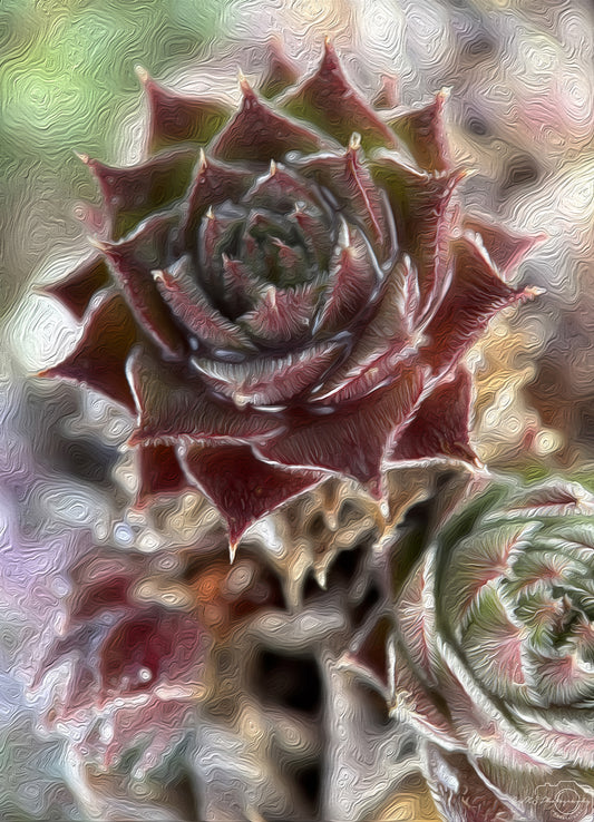 Digital Oil Painting - Superb Flower V286