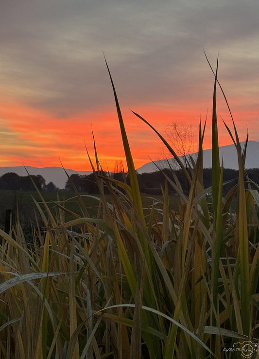 Sunset_016 - Superbpictures