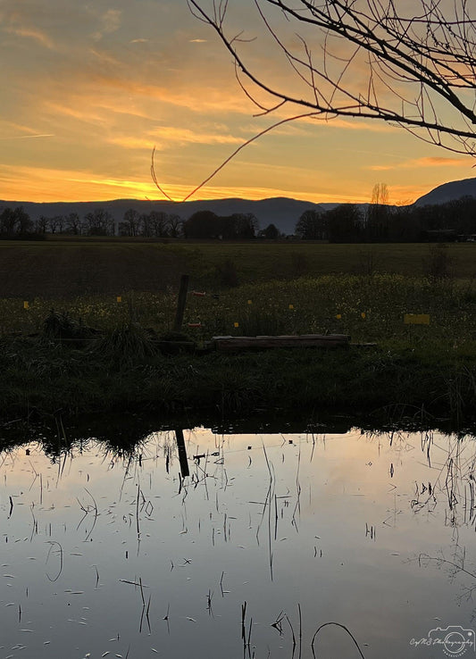 Sunset_038 - Superbpictures