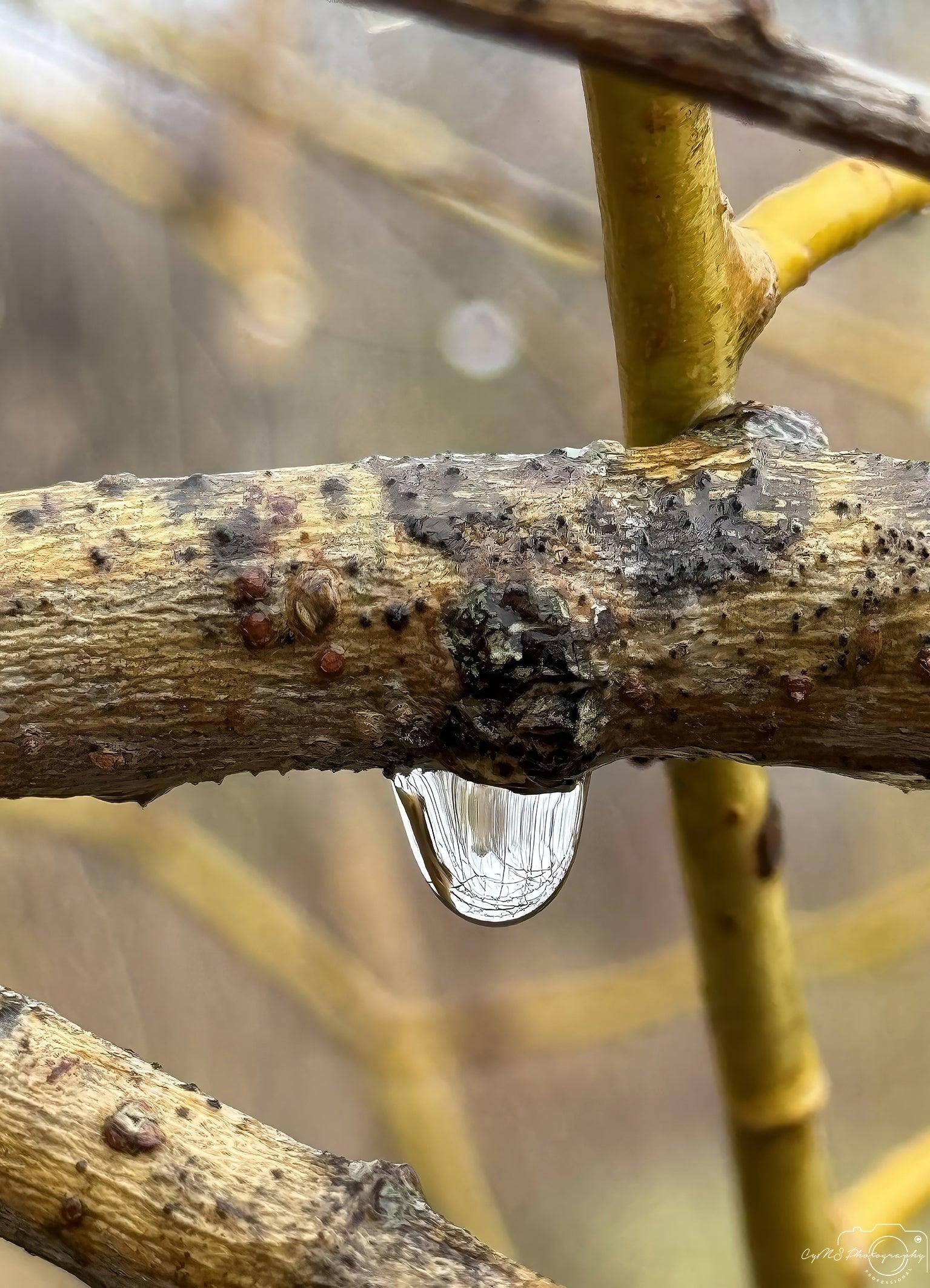 Beautiful water drop_V138 - Superbpictures