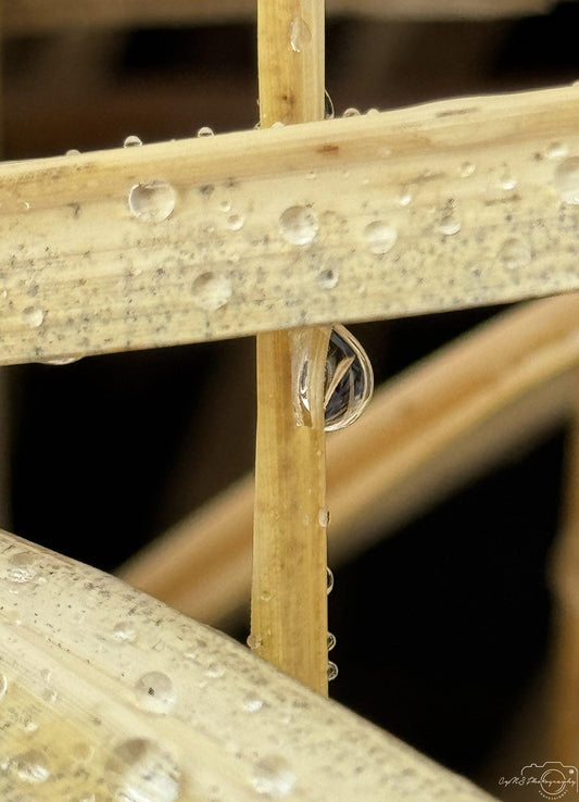 Beautiful water drop_V013 - Superbpictures