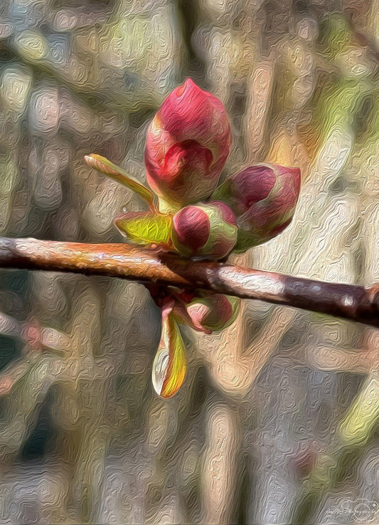 Digital Oil Painting - Superb Droplet V190