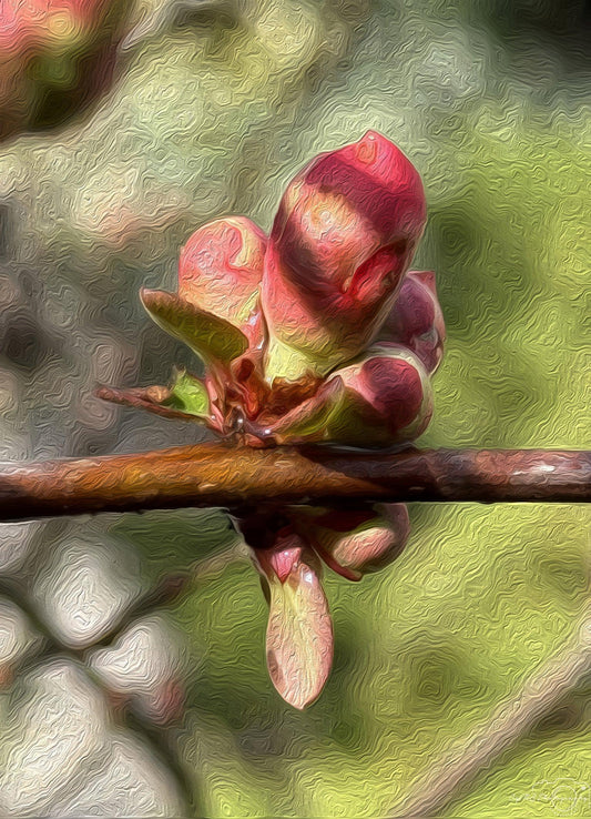Digital Oil Painting - Superb Droplet V191