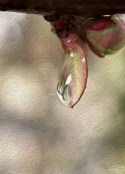 Digital Oil Painting - Superb Droplet V192