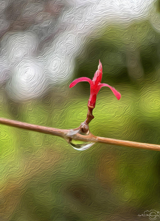 Digital Oil Painting - Superb Droplet V194