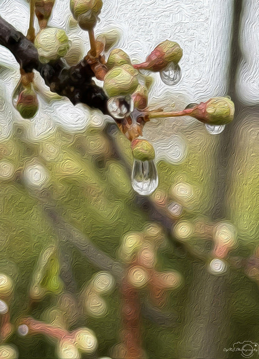 Digital Oil Painting - Superb Droplet V196